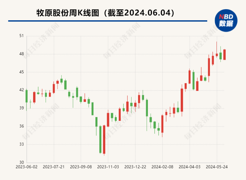 观察丨熬过“寒冬”，猪企“幸存派”有共识：缩表